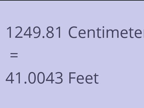 1249.81 CM TO FEET