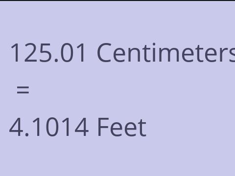 125.01 CM TO FEET