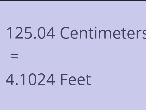 125.04 CM TO FEET