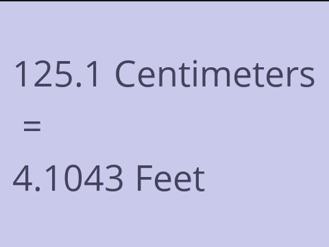 125.1 CM TO FEET