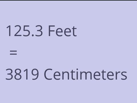 125.3 FEET TO CM