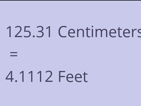 125.31 CM TO FEET