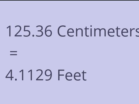 125.36 CM TO FEET