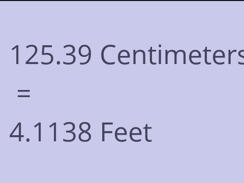 125.39 CM TO FEET