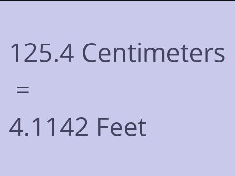 125.4 CM TO FEET