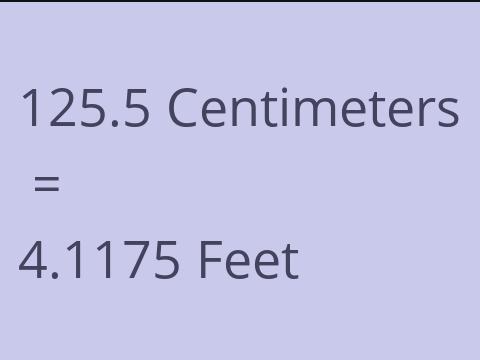 125.5 CM TO FEET