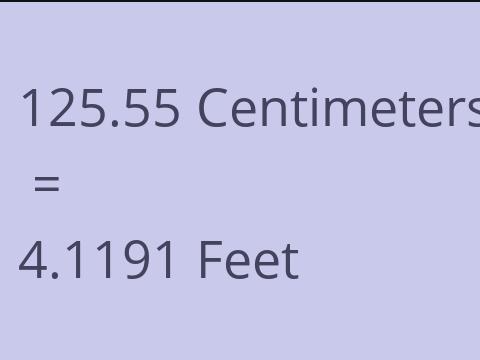 125.55 CM TO FEET