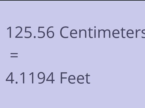 125.56 CM TO FEET