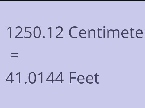 1250.12 CM TO FEET