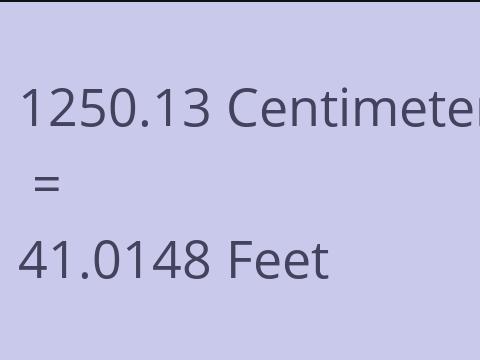 1250.13 CM TO FEET