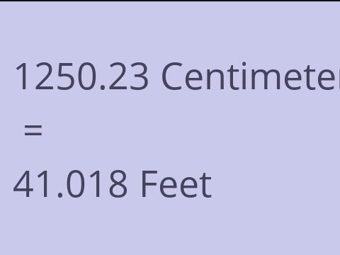 1250.23 CM TO FEET