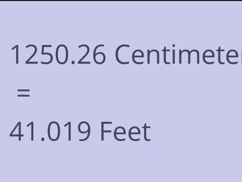 1250.26 CM TO FEET