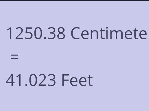 1250.38 CM TO FEET