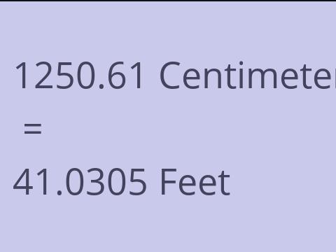 1250.61 CM TO FEET