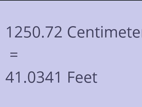 1250.72 CM TO FEET