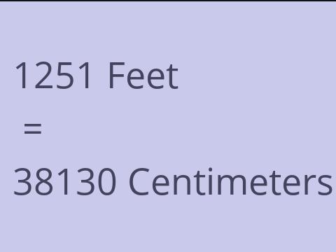 1251 FEET TO CM