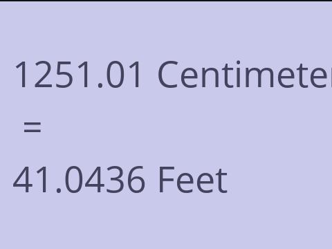 1251.01 CM TO FEET