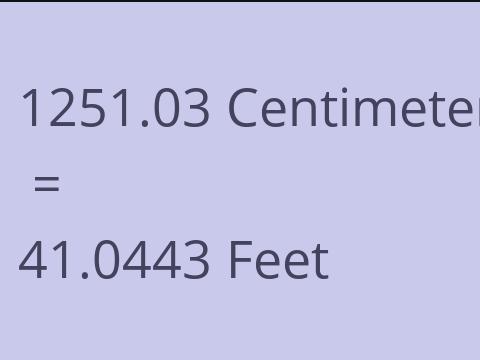 1251.03 CM TO FEET