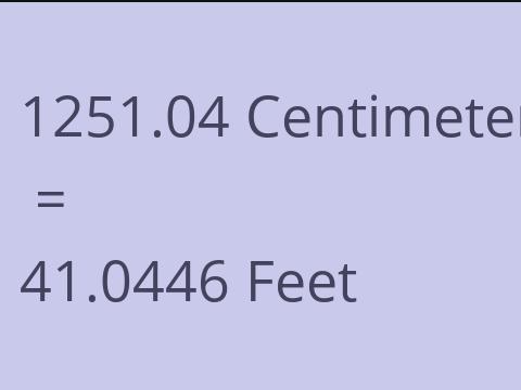 1251.04 CM TO FEET