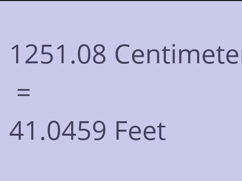 1251.08 CM TO FEET