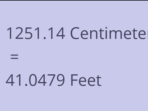 1251.14 CM TO FEET