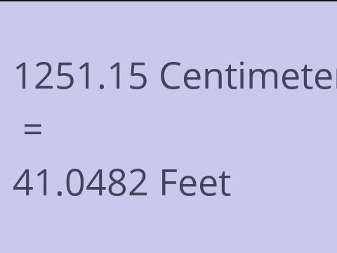 1251.15 CM TO FEET