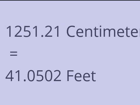 1251.21 CM TO FEET