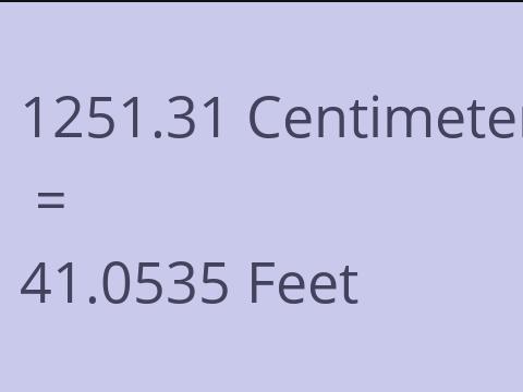 1251.31 CM TO FEET