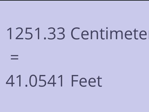 1251.33 CM TO FEET