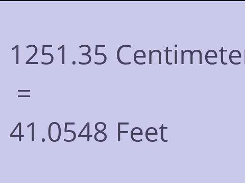 1251.35 CM TO FEET