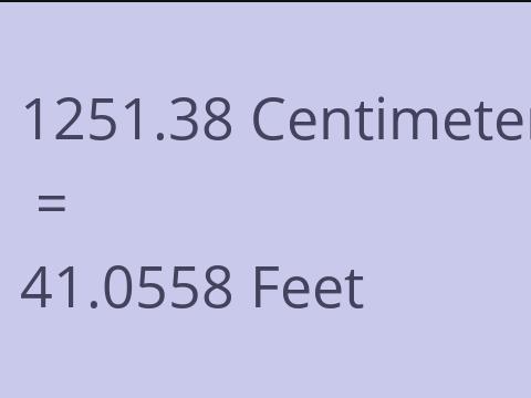 1251.38 CM TO FEET