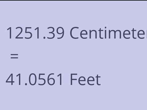 1251.39 CM TO FEET