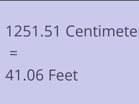 1251.51 CM TO FEET