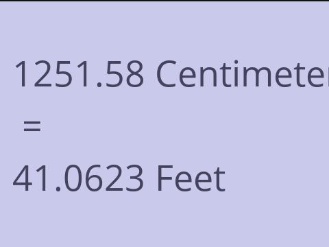 1251.58 CM TO FEET