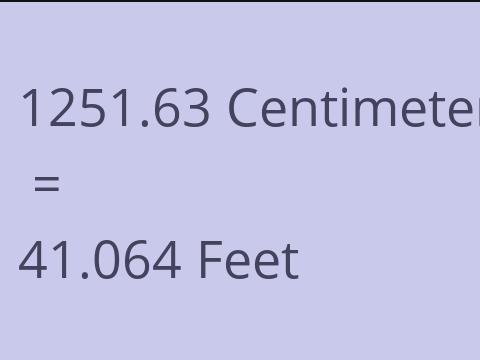 1251.63 CM TO FEET