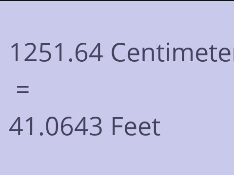 1251.64 CM TO FEET