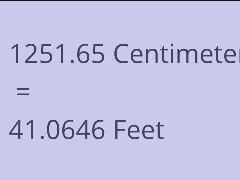 1251.65 CM TO FEET