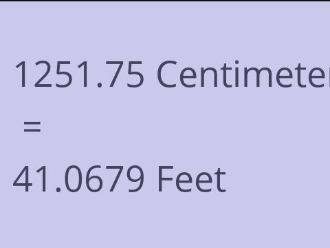 1251.75 CM TO FEET