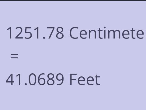 1251.78 CM TO FEET