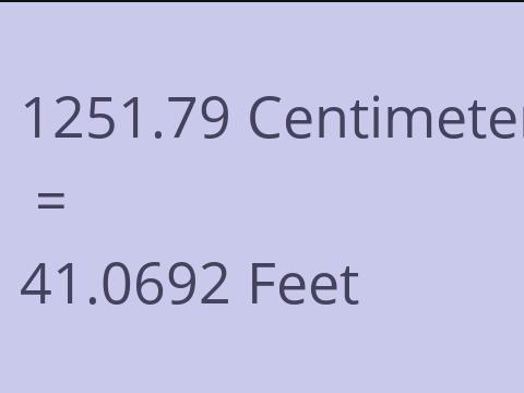 1251.79 CM TO FEET