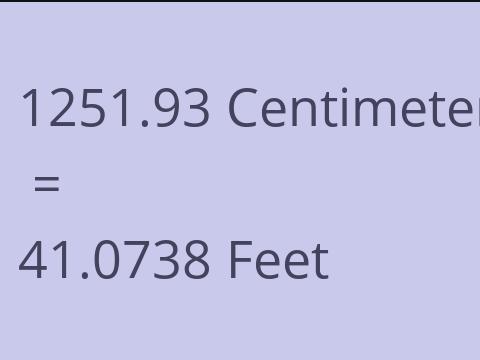 1251.93 CM TO FEET