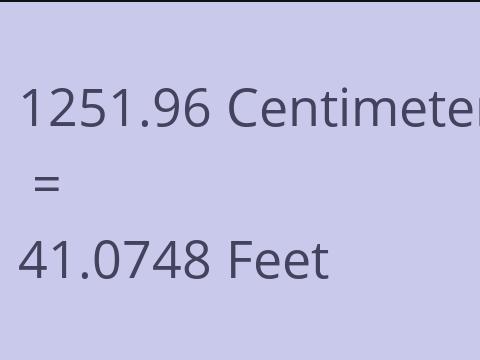 1251.96 CM TO FEET