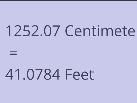 1252.07 CM TO FEET