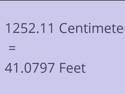 1252.11 CM TO FEET