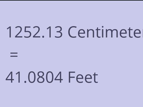 1252.13 CM TO FEET