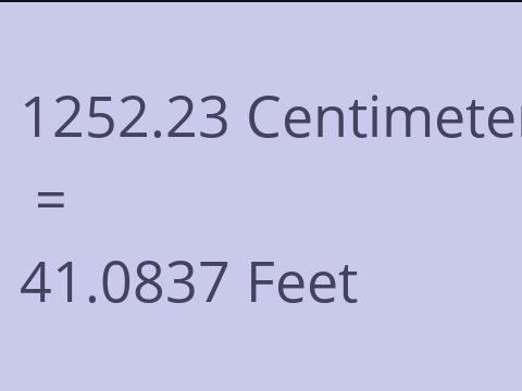 1252.23 CM TO FEET