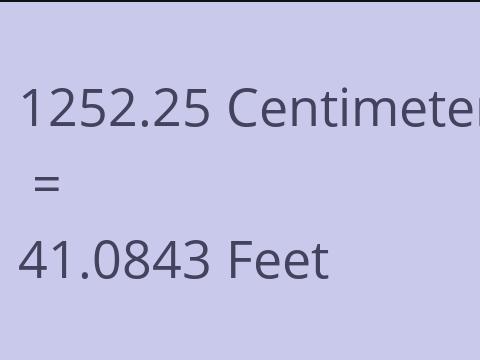 1252.25 CM TO FEET