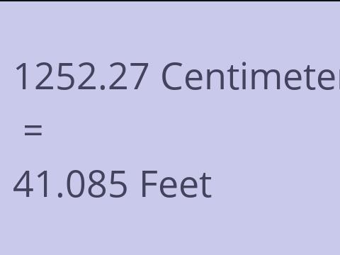 1252.27 CM TO FEET