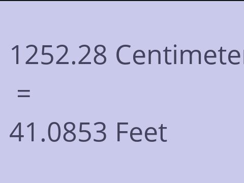 1252.28 CM TO FEET