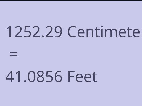 1252.29 CM TO FEET